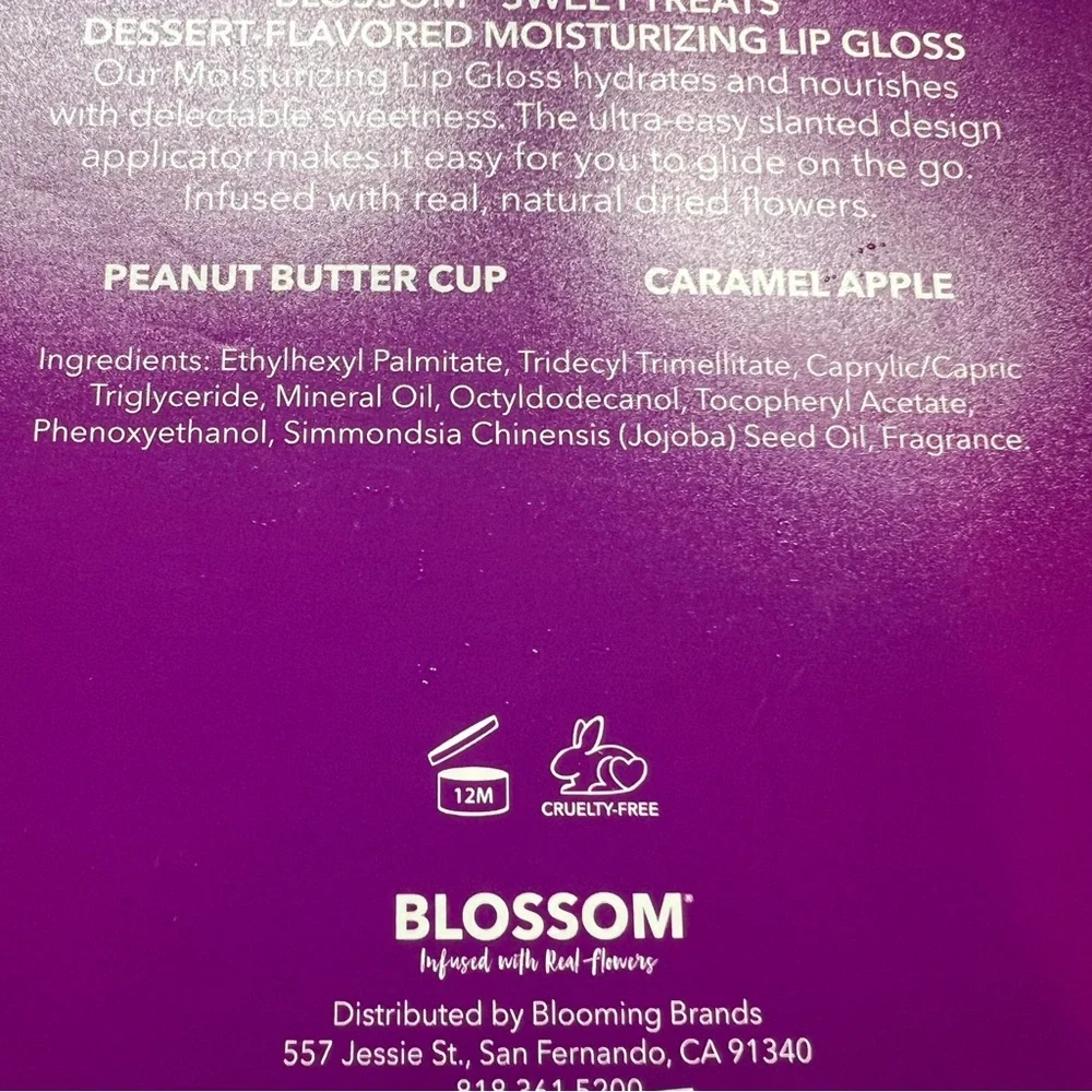 Blossom Dessert Flavored Moisturizing Lip Gloss Infused Dessert Flavored